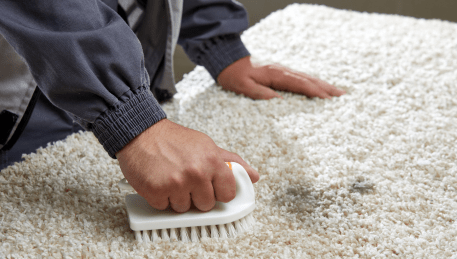 Professional Rug Cleaning Vermont